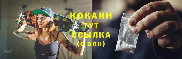 PSILOCYBIN Лагань