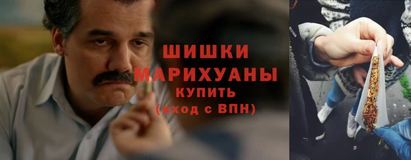 мет Ладушкин